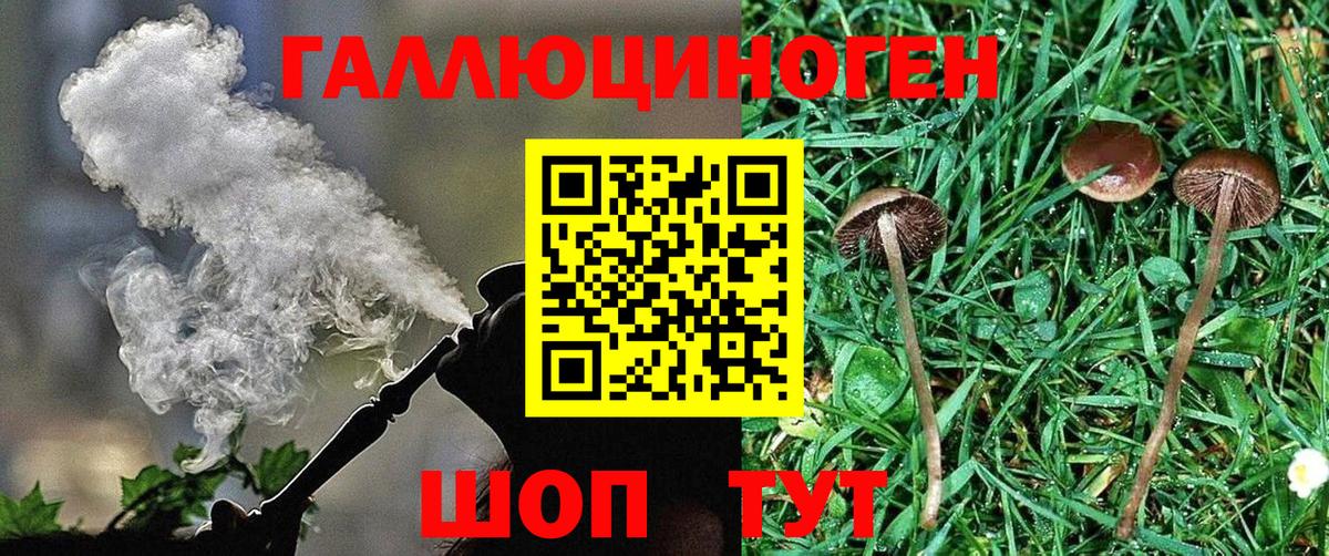 Галлюциногенные грибы Cubensis  Вход с VPN  Усть-Илимск  Галлюциногенные грибы мицелий 